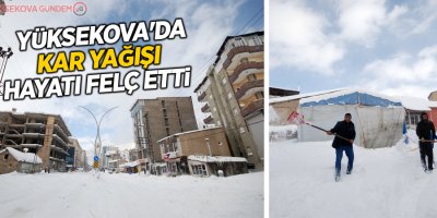 Yüksekova'da kar yağışı hayatı felç etti