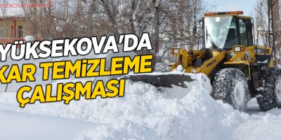 Yüksekova'da kar temizleme çalışması