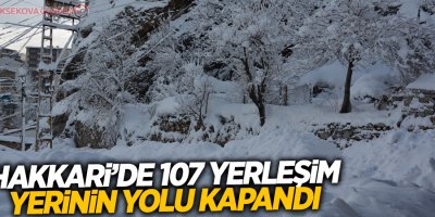 Hakkari’de 107 yerleşim yerinin yolu kapandı