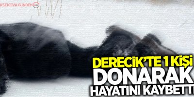 Derecik’te 1 kişi donarak hayatını kaybetti