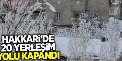 Hakkari'de 20 yerleşim yolu kapandı