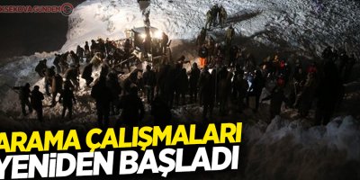 Çığ bölgesinde arama kurtarma çalışmaları yeniden başlatıldı