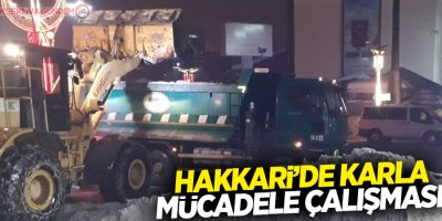 Hakkari’de karla mücadele çalışması