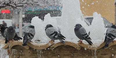 Doğu'da soğuk hava: Göle eksi 40