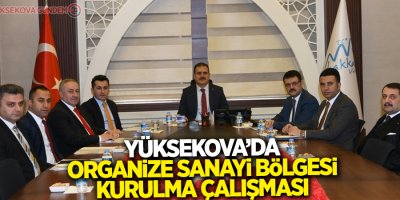 Yüksekova’da organize sanayi bölgesi kurulma çalışması