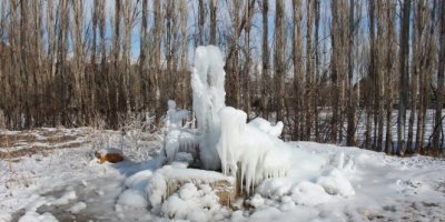 Oltu'da her yer buz oldu