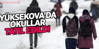 Yüksekova'da okullar tatil edildi