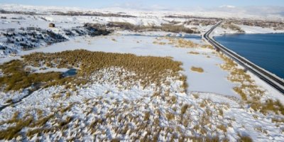 Ahlat'taki kuş cenneti dondu