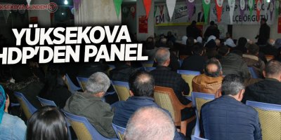 Yüksekova HDP'den panel