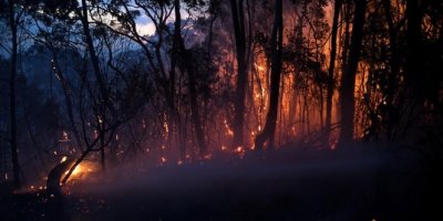 Avustralya'daki yangınlar aylar sonra ilk kez kontrol altına alındı