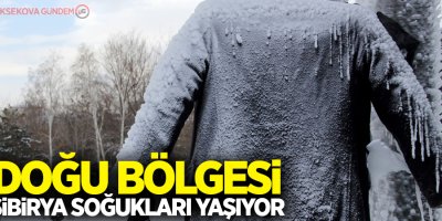 Doğu buz kesti