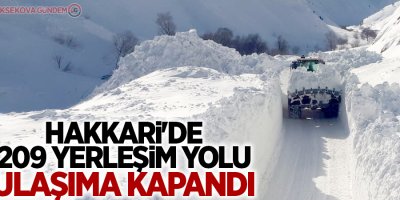 Hakkari'de 209 yerleşim yolu ulaşıma kapandı