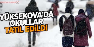 Yüksekova'da Okullar tatil edildi