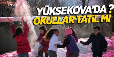 Yüksekova'da okullar tatil edildi mi?