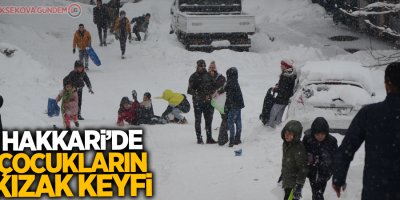 Çocukların kızak keyfi