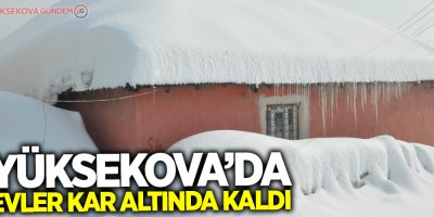 Yüksekova’da evler ve arabalar kara gömüldü