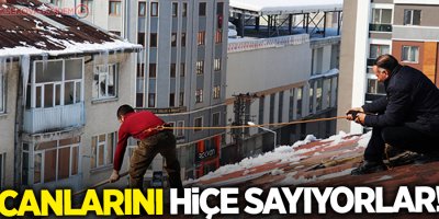 Ekmek parası için canlarını hiçe sayıyorlar!