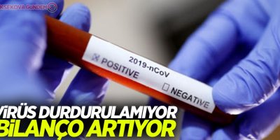 Çin'de salgından ölenlerin sayısı 2 bini geçti