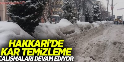Hakkari'de çalışmalar devam ediyor