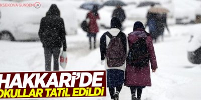 Hakkari'de okullar tatil edildi