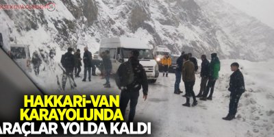 Hakkari-Van karayolunda araçlar yolda kaldı