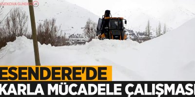 Esendere'de karla mücadele çalışması