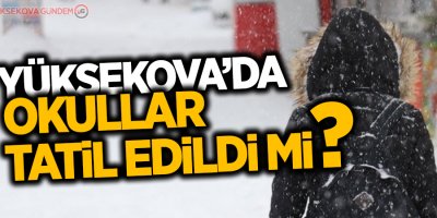 Yüksekova'da okullar tatil edildi mi?