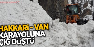 Hakkari-Van kara yoluna çığ düştü