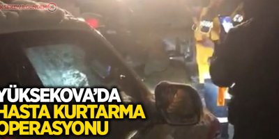 5 kilometre yürüyerek hastayı ambulansa yetiştirdiler