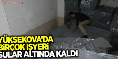 Yüksekova'da birçok işyeri sular altında kaldı