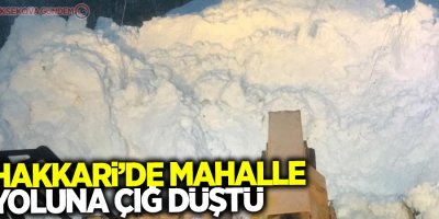 Hakkari’de mahalle yoluna çığ düştü
