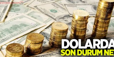 Dolar da altın da yükselmeye devam ediyor