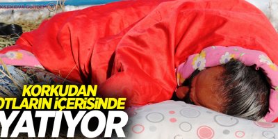 Korkudan otların içerisinde yatıyor