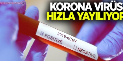 İsviçre'de ilk korona virüsü vakası