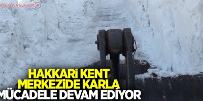 Hakkari kent merkezide karla mücadele sürüyor