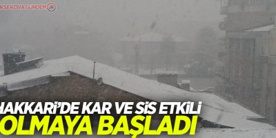 Hakkari’de kar ve sis etkili olmaya başladı