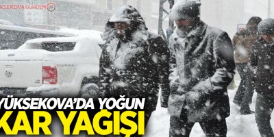 Yüksekova'da Yoğun Kar Yağışı