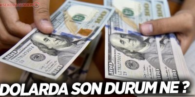 Altın da dolar da yüksek seyrini sürdürüyor