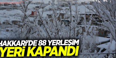Hakkari'de 88 yerleşim yeri kapandı
