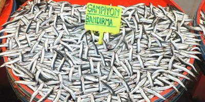 Hamsi 35 lira ile rekor kırdı