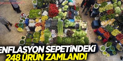 Enflasyon sepetindeki 248 ürün zamlandı