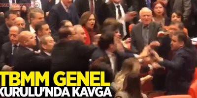 TBMM Genel Kurulu'nda kavga
