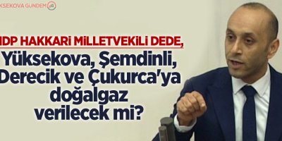 Dede,'Hakkari ili ve ilçelerine doğalgaz verilecek mi?'
