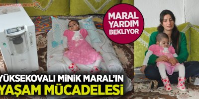 Yüksekovalı minik Maral’ın yaşam mücadelesi