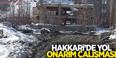 Hakkari’de yol onarım çalışması