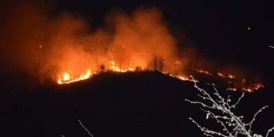 Giresun'da ormanlık alanda yangın