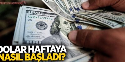 Dolar haftayı yükselişle açtı