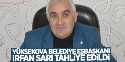 Yüksekova Belediye Eşbaşkanı İrfan Sarı tahliye edildi
