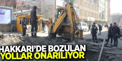 Hakkari’de bozulan yollar onarılıyor