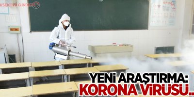 Yeni araştırma: Korona virüsü...